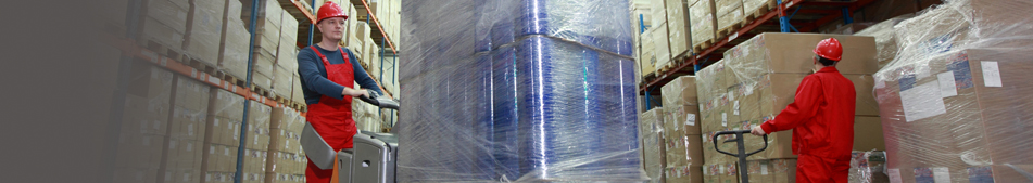 Labor & Productivity Studies